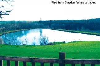 the view from blagdon farm's cottages